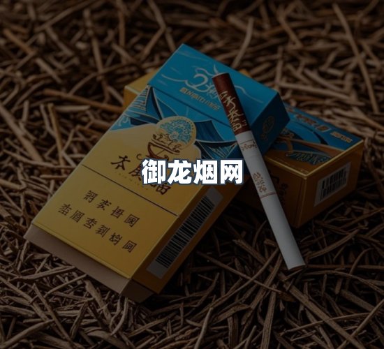 关于御龙烟网